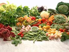 Fresh Ingredients
